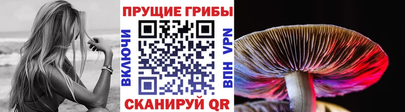 Псилоцибиновые грибы MAGIC MUSHROOMS  kraken   Приморско-Ахтарск 