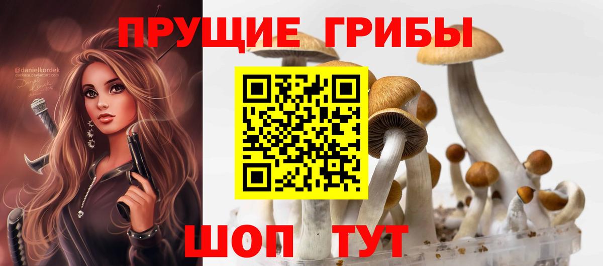 Галлюциногенные грибы мицелий  Вход с VPN  Приморско-Ахтарск  Псилоцибиновые грибы GOLDEN TEACHER 