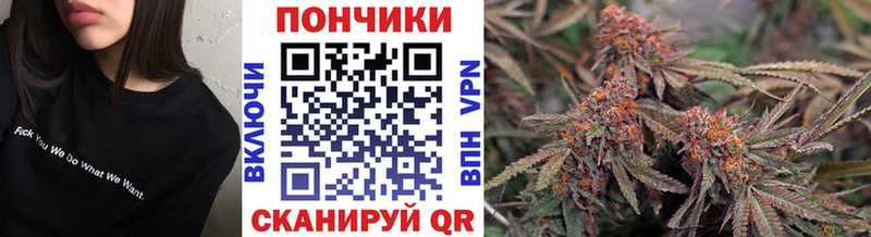 Бошки Шишки ГИДРОПОН  наркошоп  МЕГА зеркало  Приморско-Ахтарск 